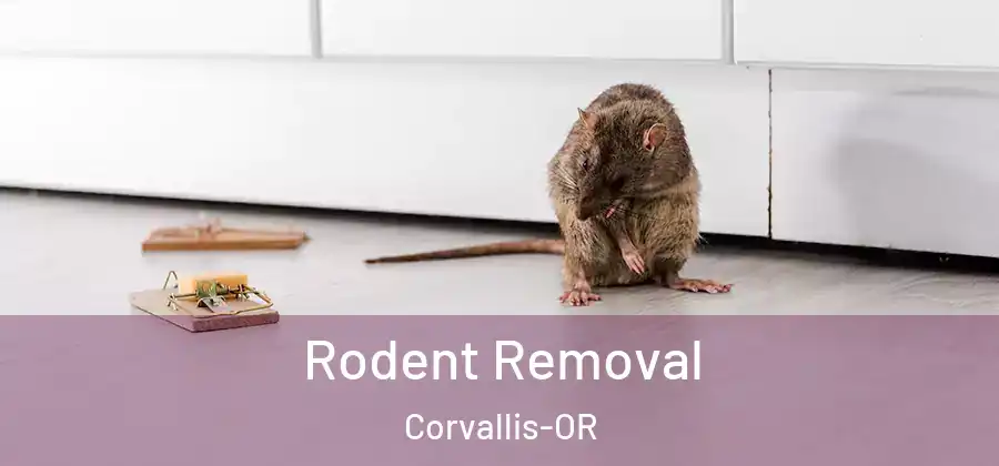  Rodent Removal Corvallis-OR