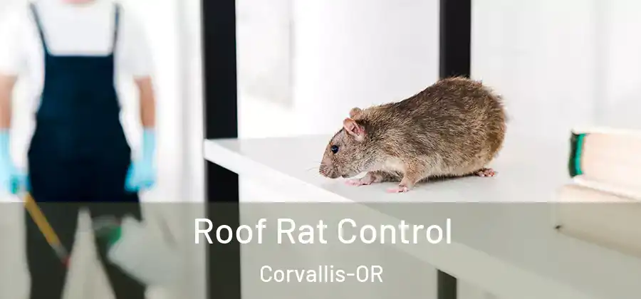  Roof Rat Control Corvallis-OR