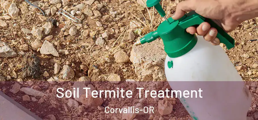 Soil Termite Treatment Corvallis-OR