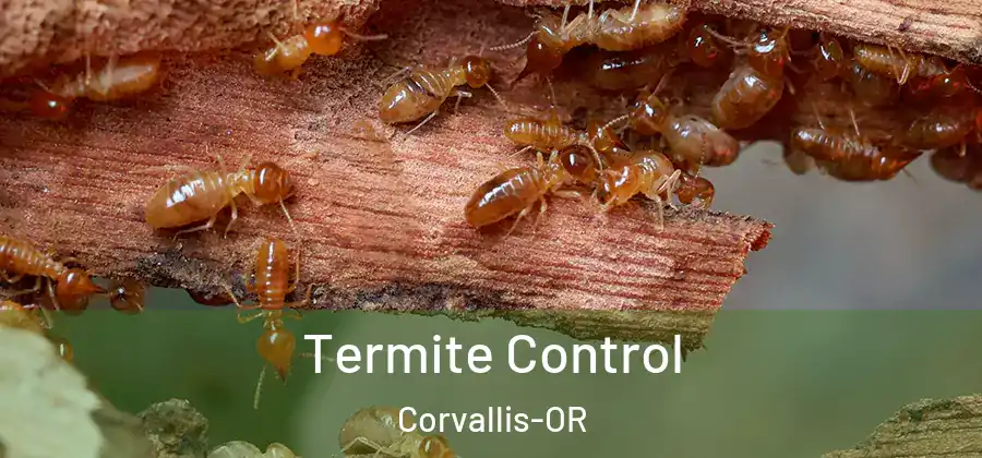 Termite Control Corvallis-OR