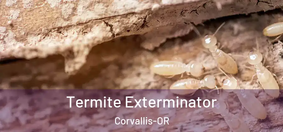 Termite Exterminator Corvallis-OR
