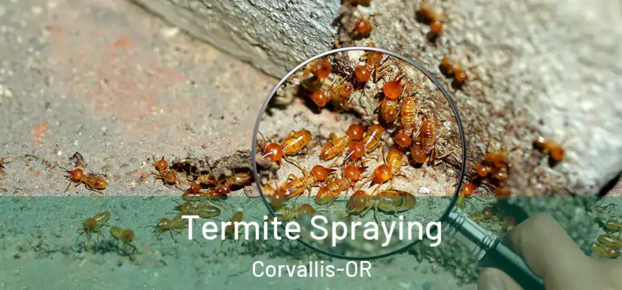  Termite Spraying Corvallis-OR