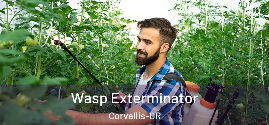  Wasp Exterminator Corvallis-OR