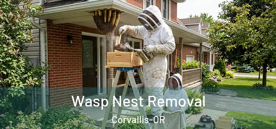 Wasp Nest Removal Corvallis-OR