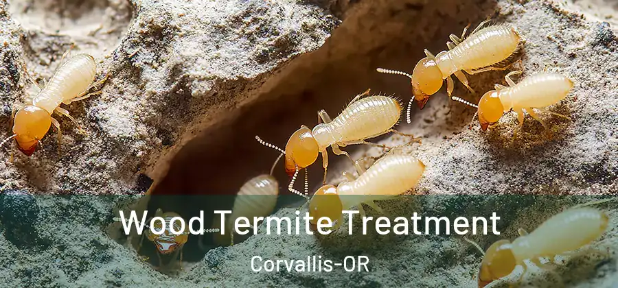 Wood Termite Treatment Corvallis-OR
