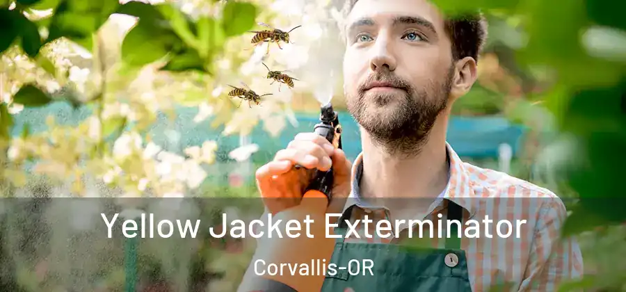  Yellow Jacket Exterminator Corvallis-OR